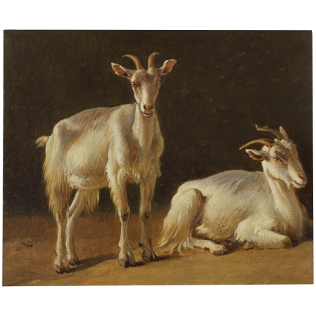 Abraham Teerlink (Dordrecht 1776-1857 Rome) A Study of two Goats